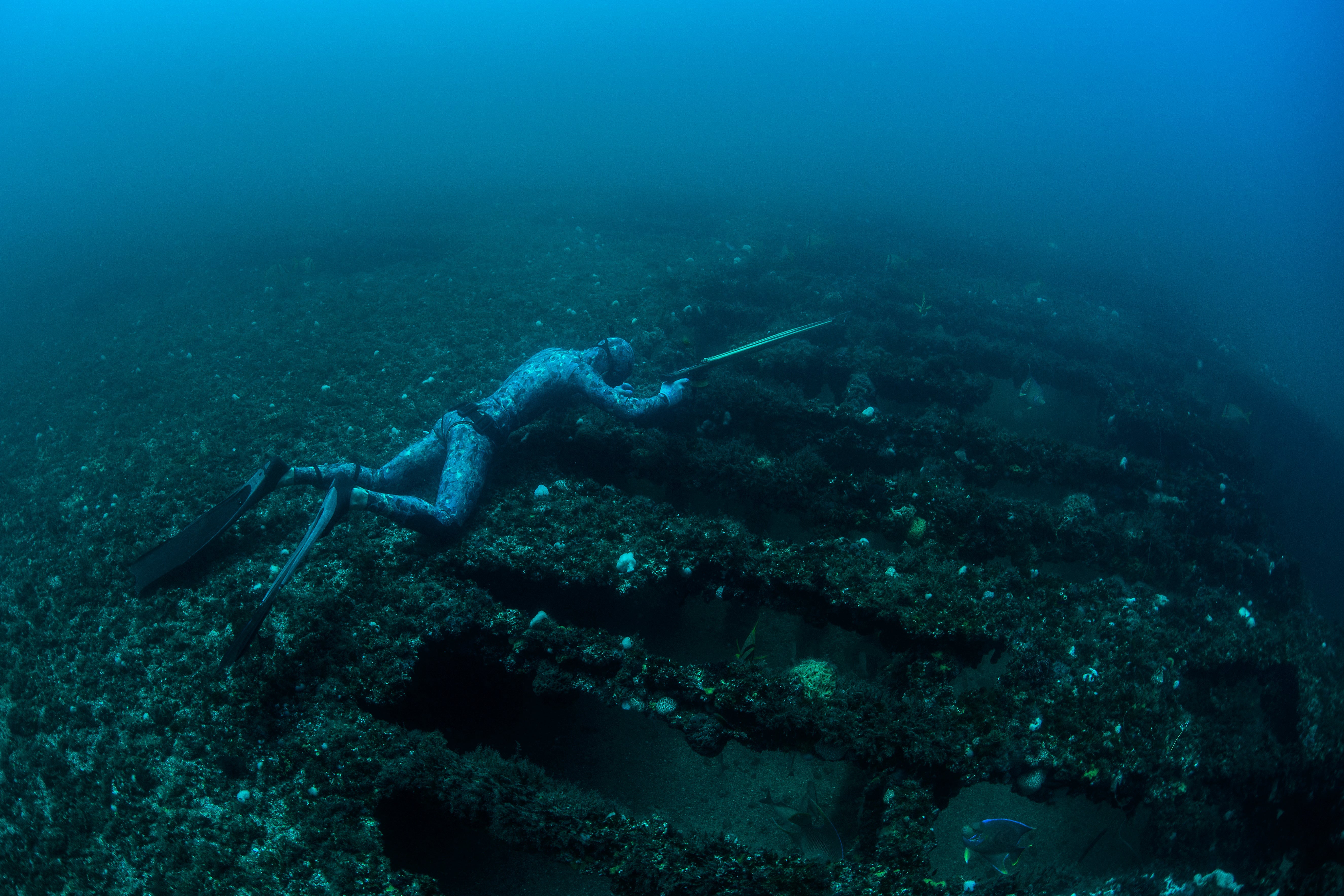 Masks (Freediving)