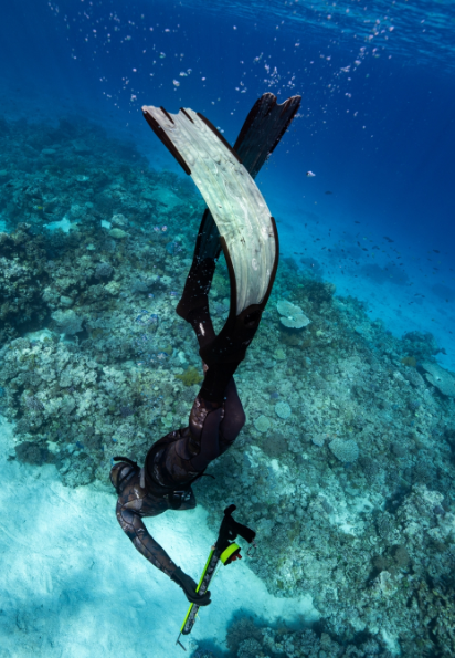 Rob Allen Scorpia EVO Fins