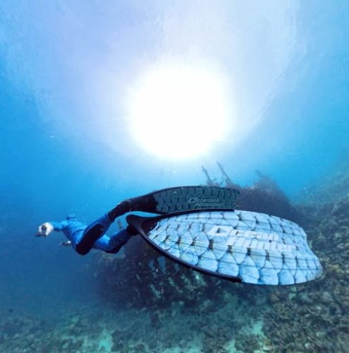 Ocean Hunter Ambush Fins