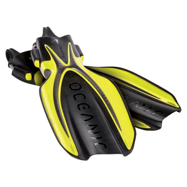 Oceanic Manta Ray Fin