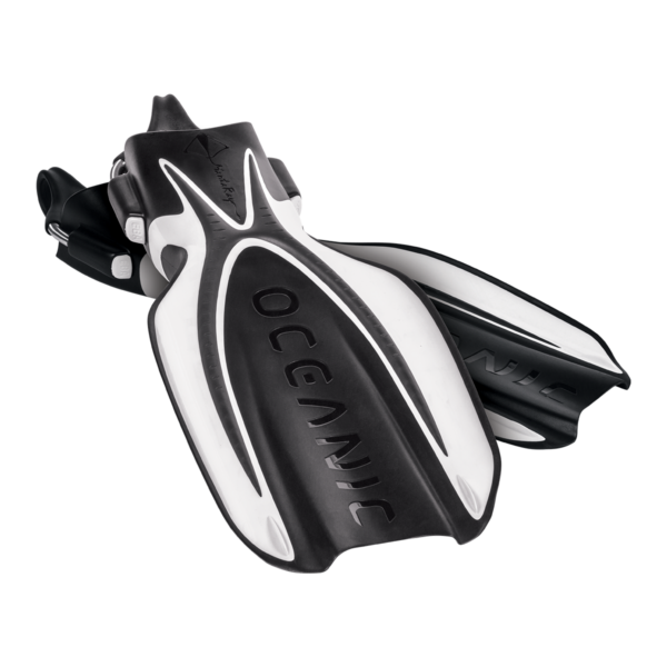 Oceanic Manta Ray Fin