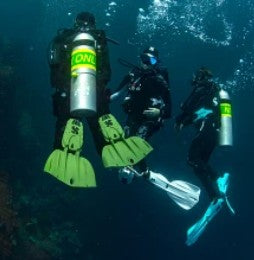 Scubapro Seawing Gorilla Fins