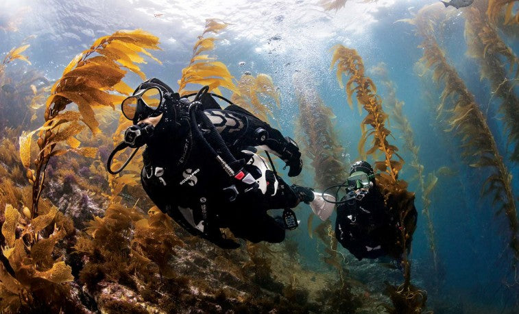 Scubapro Nova Scotia 7.5mm Mens Semi-Dry