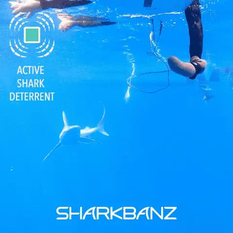 Sharkbanz 2