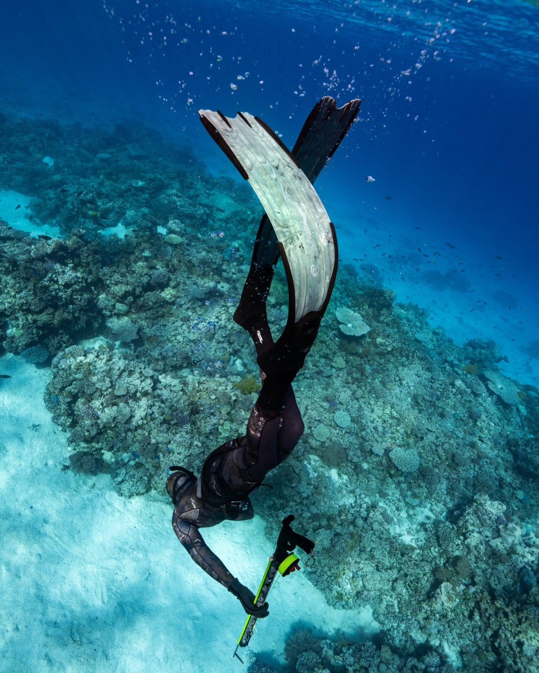 Rob Allen Scorpia EVO Fins
