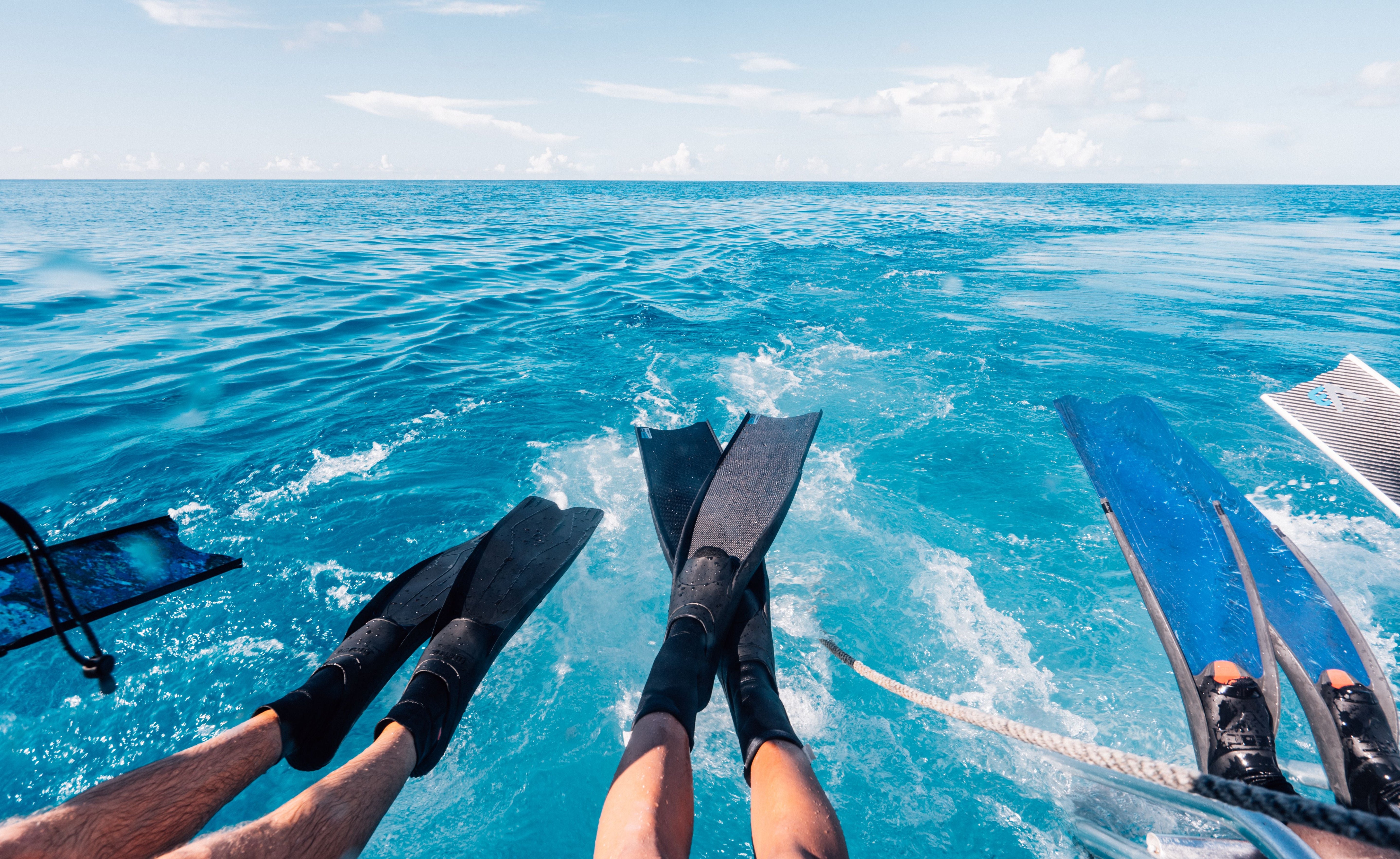 Fins (Freediving)
