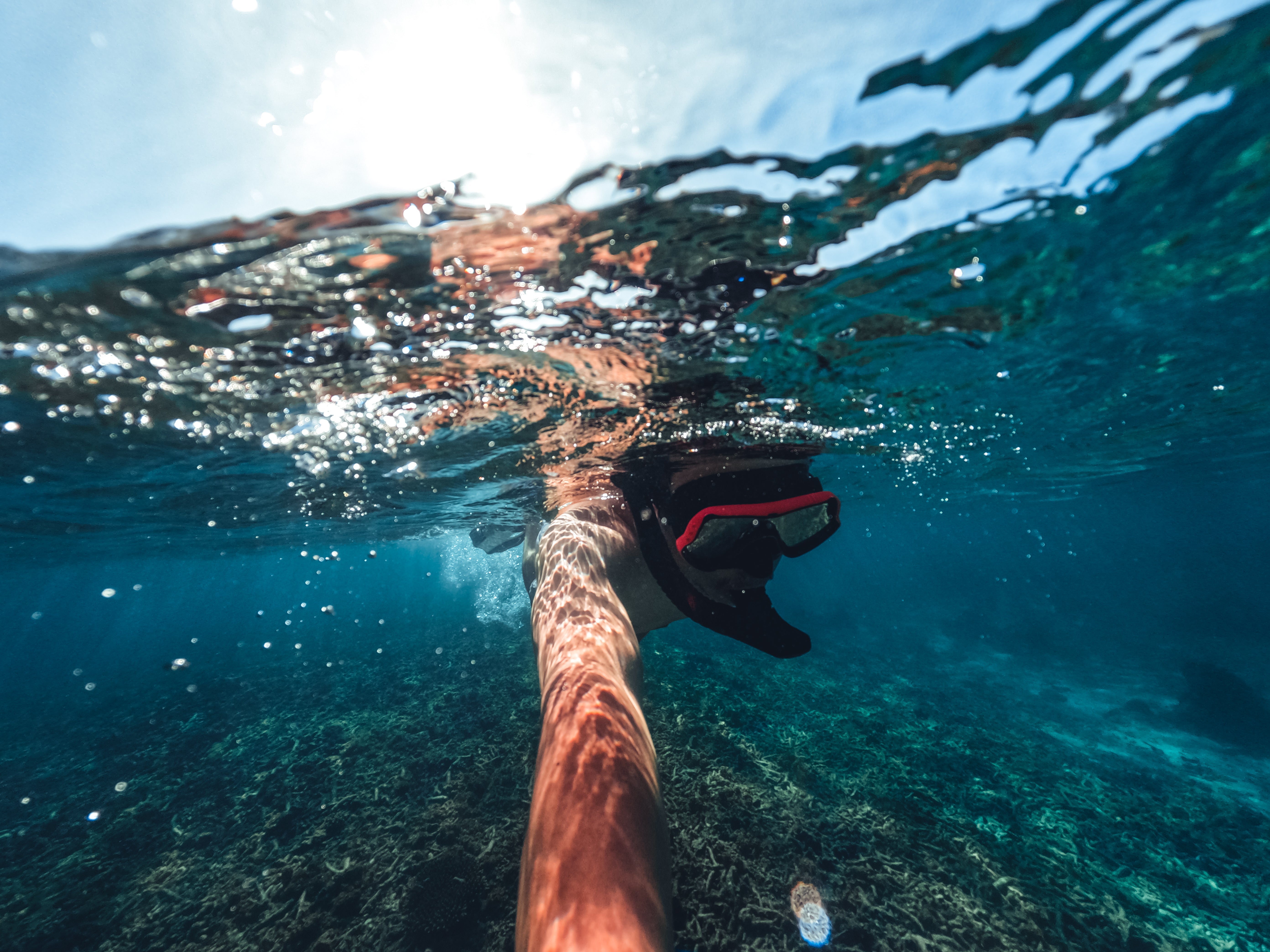 Snorkelling