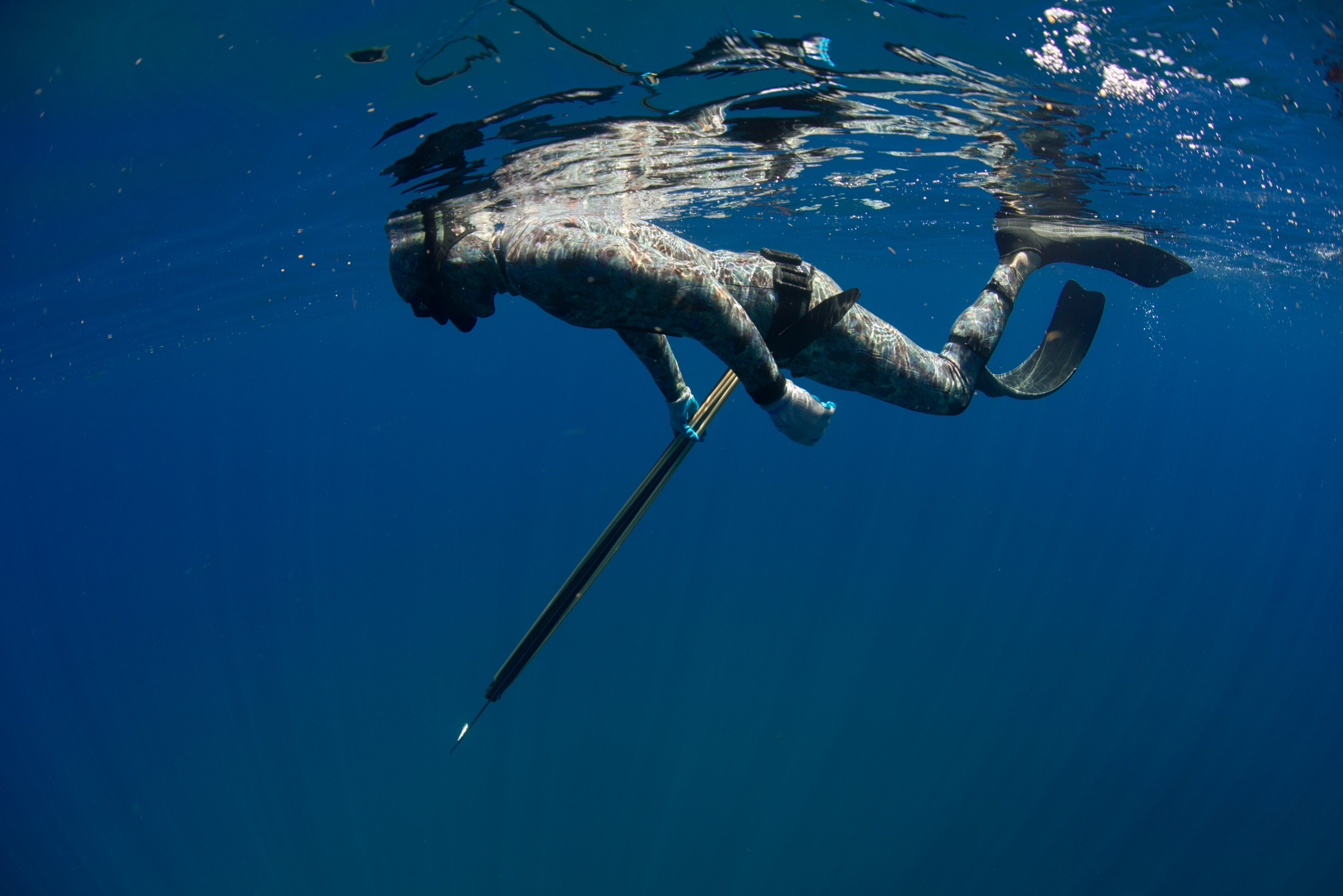 Freediving & Spearfishing