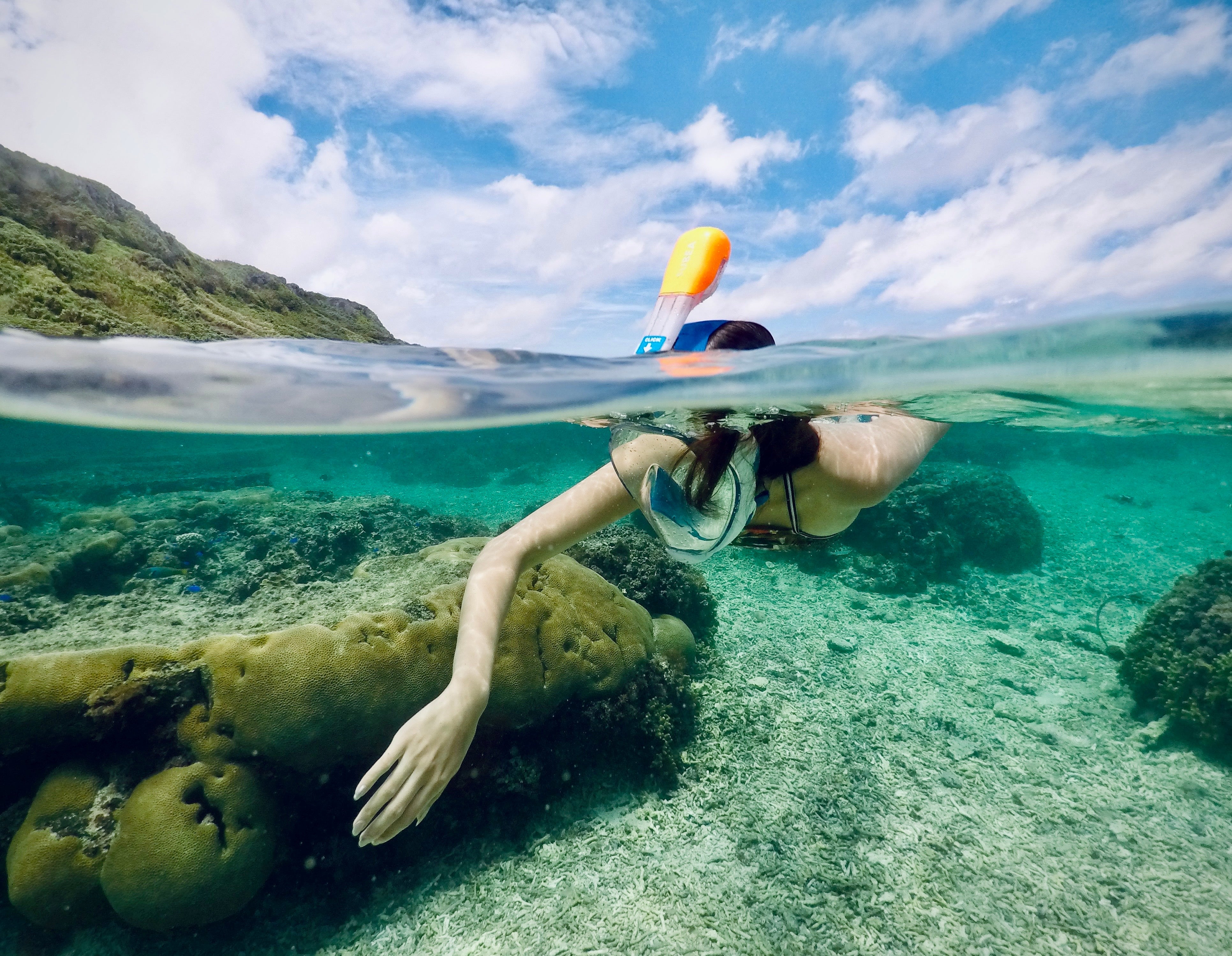 Snorkels