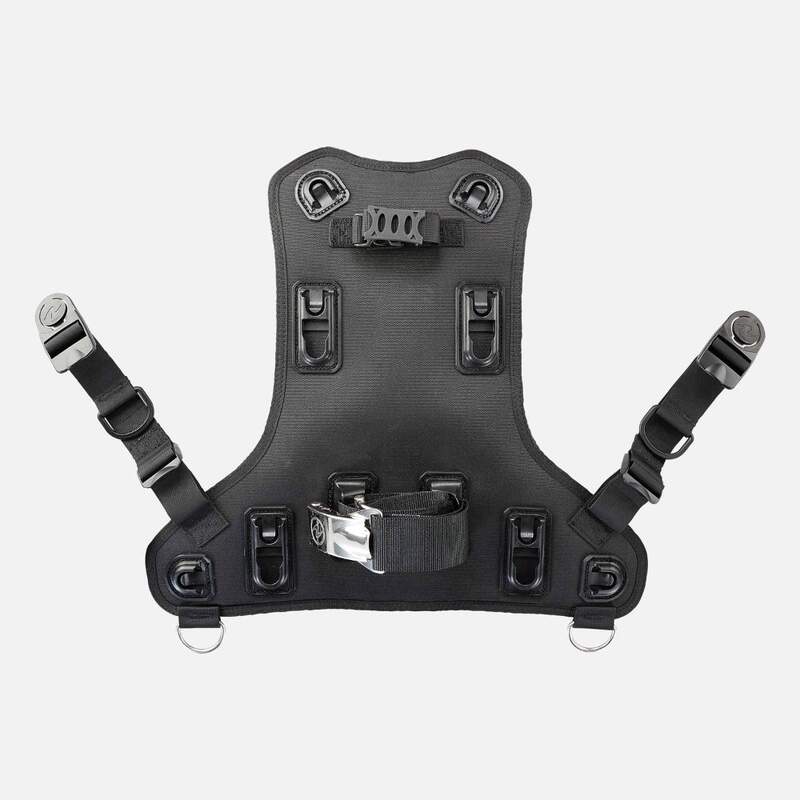 Aqualung Rogue Back Assembly