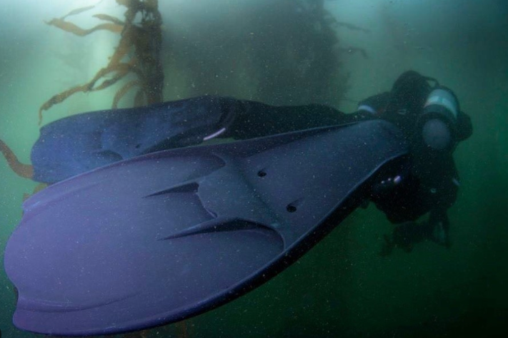 Hollis F1 Fins