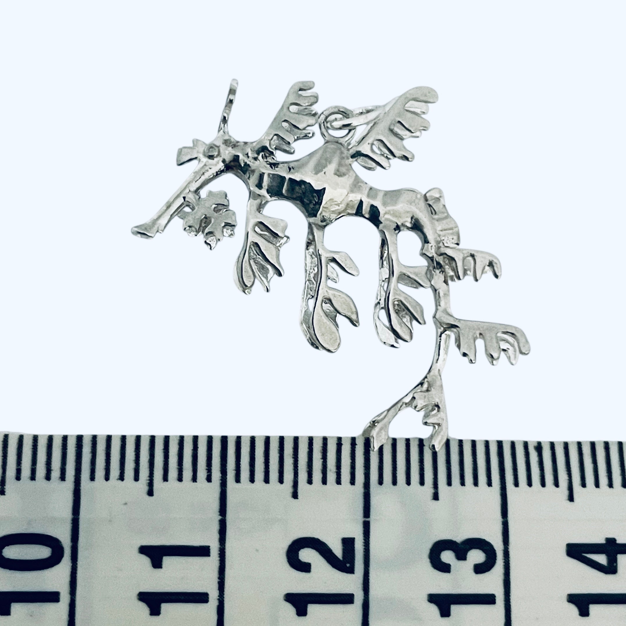 Leafy Seadragon Earrings
